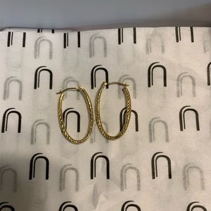 Uncommon James oval hoop earrings